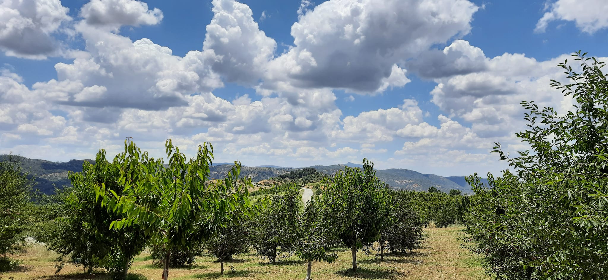 Sisli Dağ Manzarası