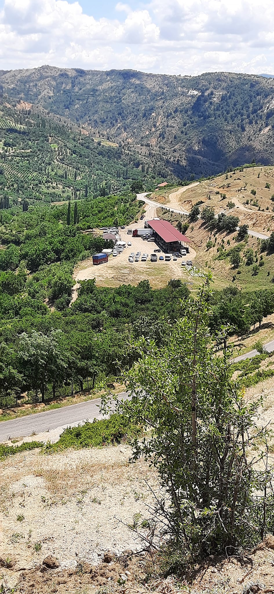 Köy Yolu ve Manzara